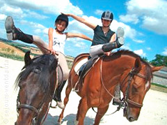 bafa poney cheval