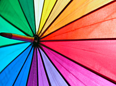 emploi bafa couleurs